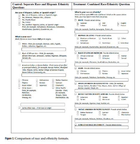 Census Questionnaire